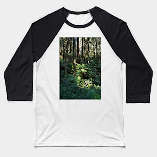 Sunlit Tree Fern Baseball T-Shirt